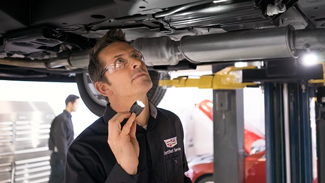 150+ POINT INSPECTION